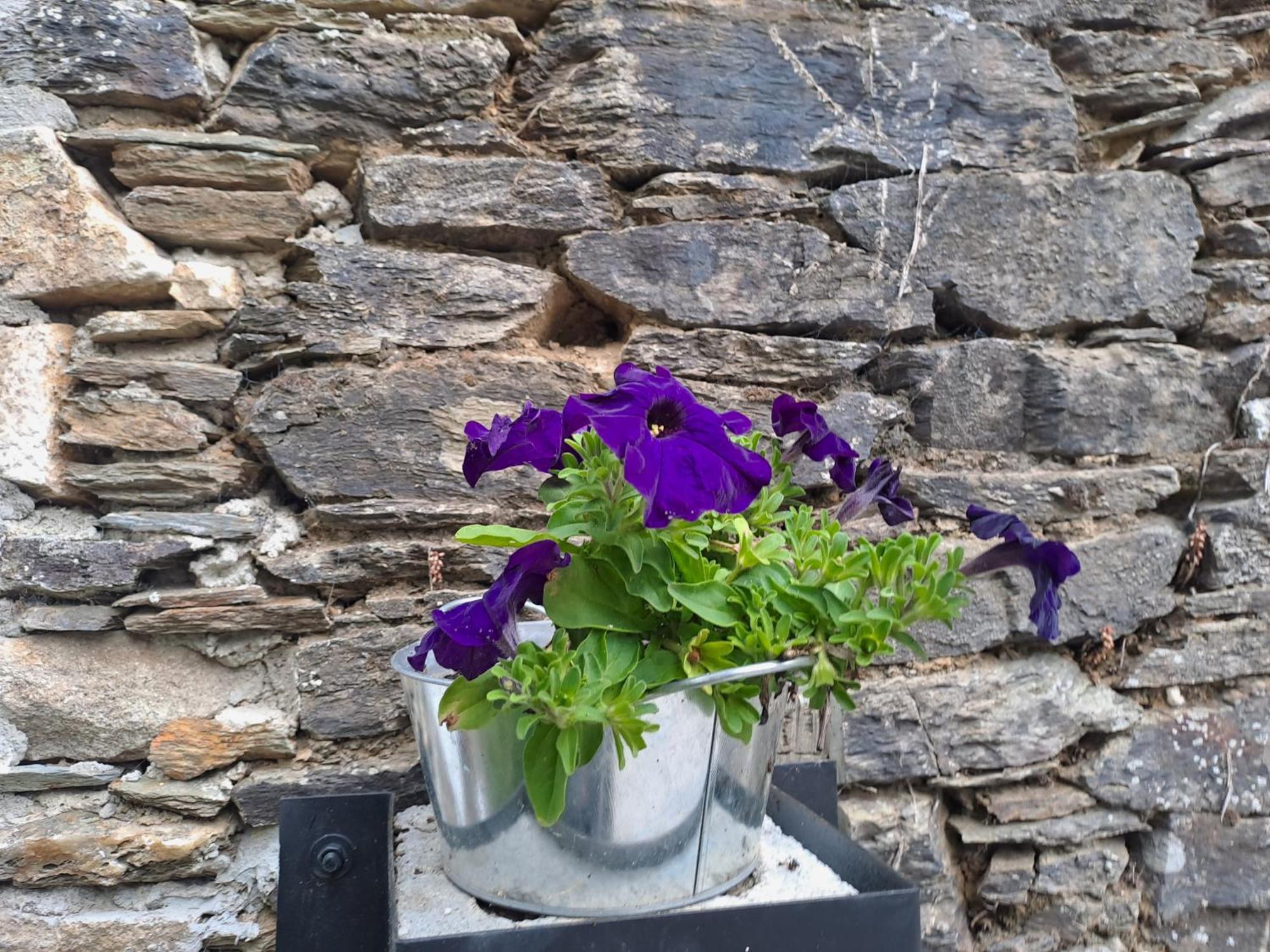Apartamento Turistico Rural Casa Chain Lugo Luaran gambar